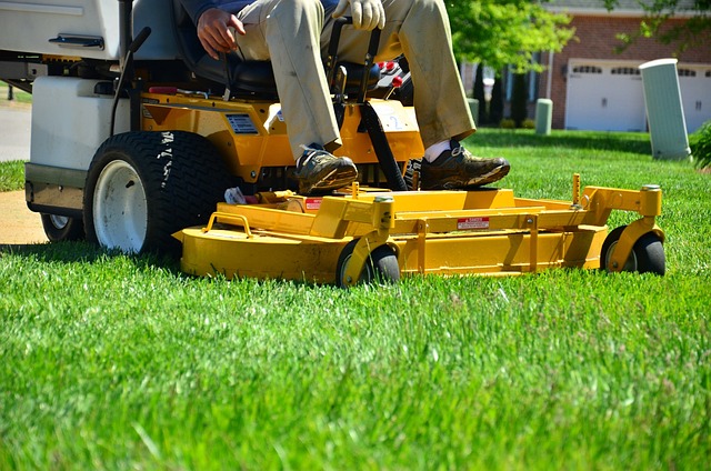 10 Essential Tips for Integrating Patio and Walkway Installation with Effective Lawn Care and Maintenance Strategies