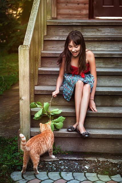 Discover the Charms of Beautiful Orange Tabby Cats