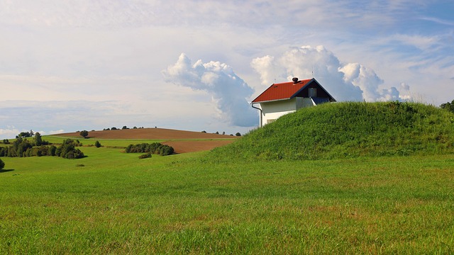 Elevate Your Space: Discover Professional Lawn Care and Landscaping Solutions