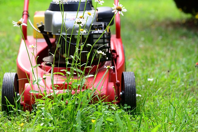 Seasonal Lawn Care Strategies for Enhanced Residential Curb Appeal