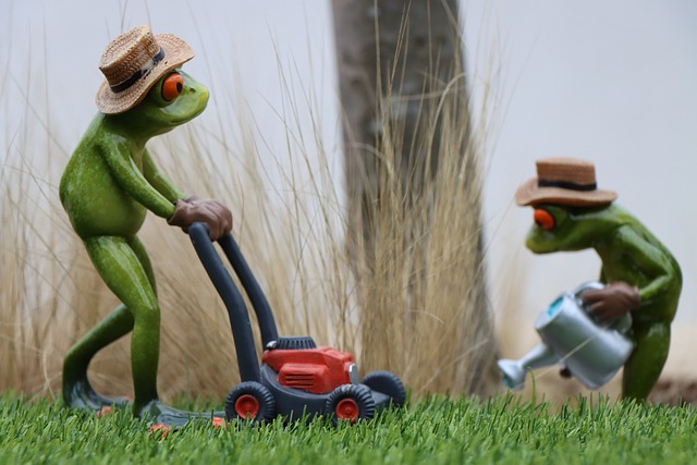 Elevate Your Curb Appeal: The Advantages of Professional Residential Lawn Mowing Services