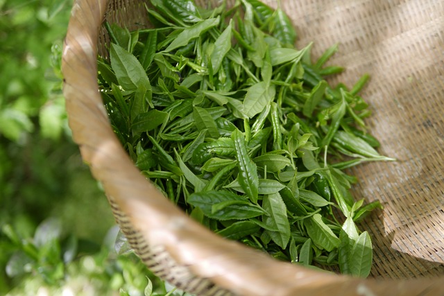 Mastering Peppermint Tea: Brewing Methods for Optimal Flavor