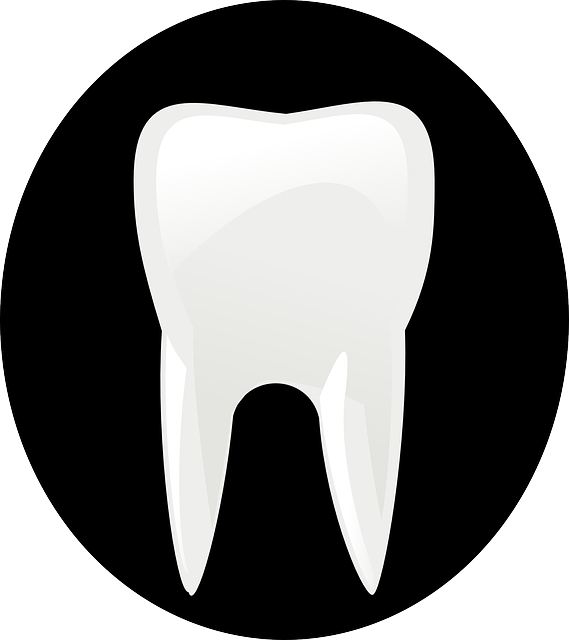 tooth braces