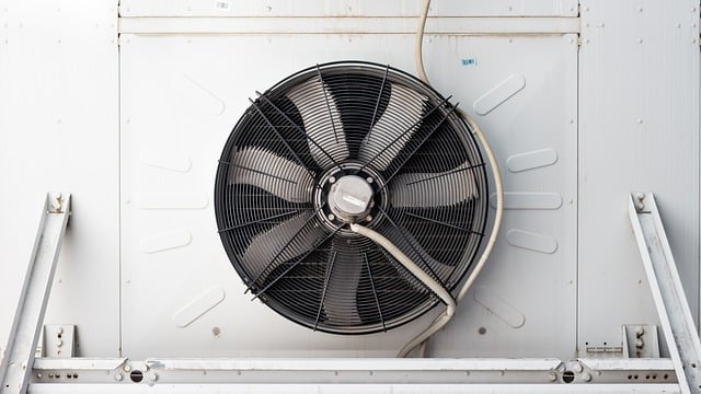 best air purifier for pets