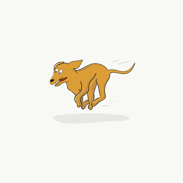 best-air-purifier-for-pets-640x480-26396396.png