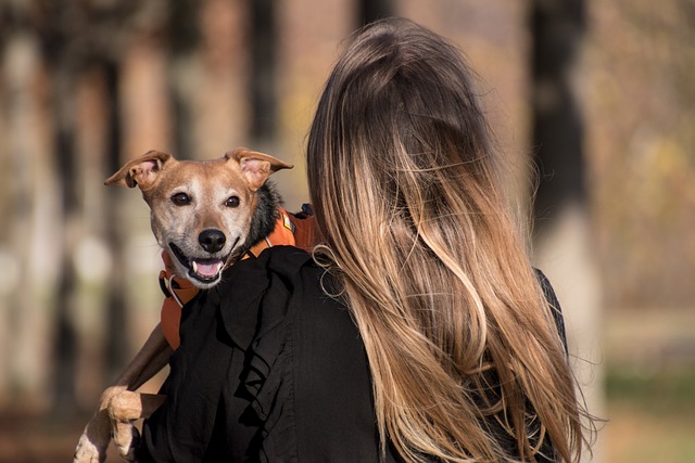 best air purifier for pets