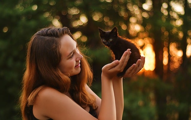 best air purifier for pets
