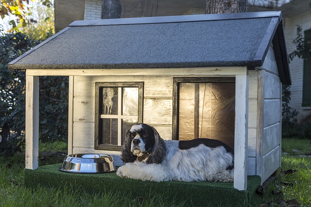 Best Air Purifiers for Homes With Pets: Cleaning the Air You Breathe