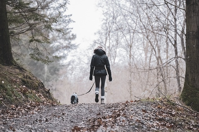 best air purifier for pets