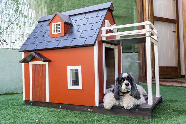 Comfortable Living: Air Cleaners for Pet-Friendly Homes