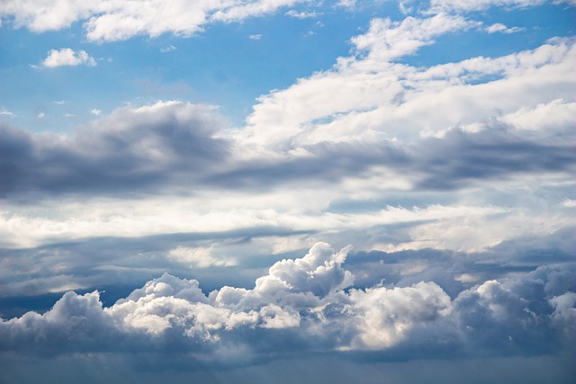Purify Air, Enhance Health: Top Dog-Friendly Options for 2023