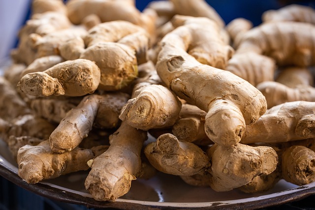 Unraveling the Science Behind Ginger Cat Color Variations