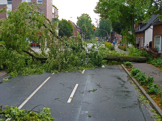 hurricane damage injuries