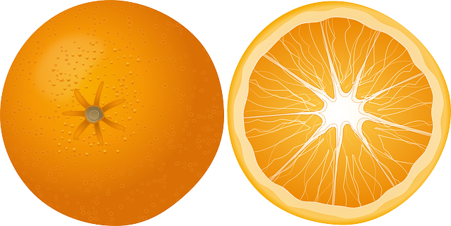 Orange Cat Resources