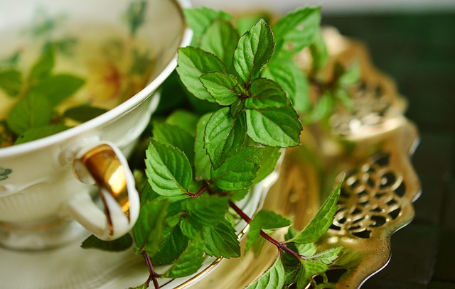 Soothe and Detoxify: Unlocking Peppermint Tea’s Natural Compounds