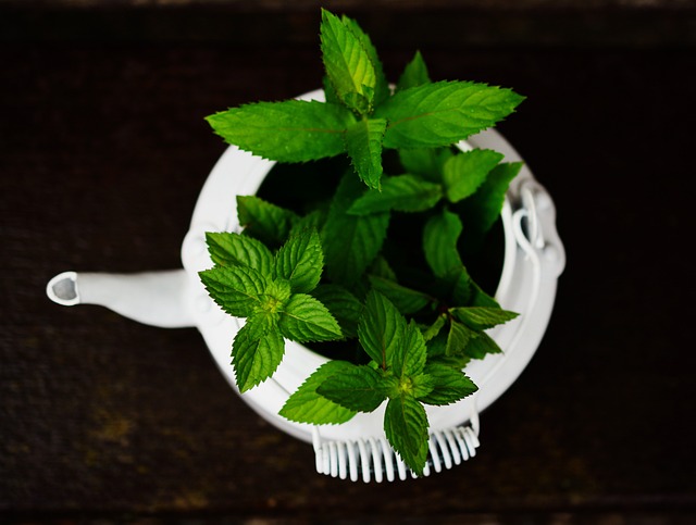 Peppermint for Stress Relief: Science-Backed Benefits and Usage Tips