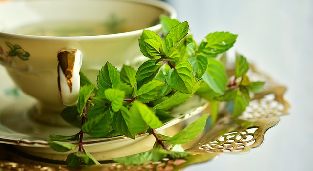 Unwind with Peppermint Tea: Calming Science, Sensory Journey, and Self-Care Tips