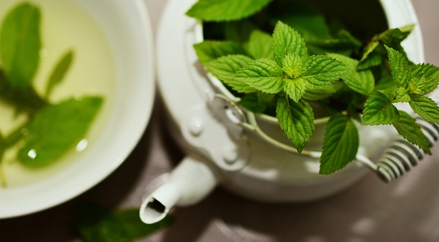 Peppermint Tea: A Refreshing Blend with Health Benefits and Weight Loss Potential