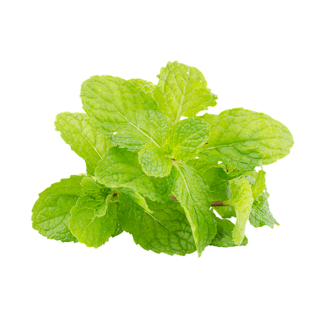 Peppermint for Health: Unlocking Natural Benefits with Easy Tips