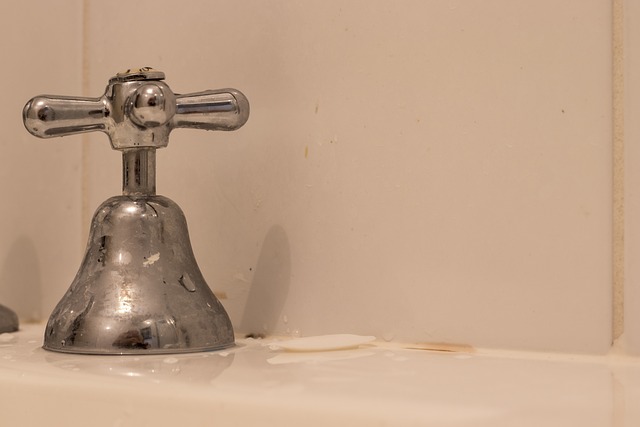 Rely on Emergency Plumbing Services for Quick Fixes