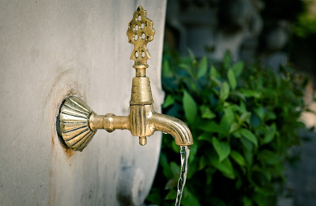 plumbing services