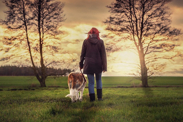 best air purifier for pets
