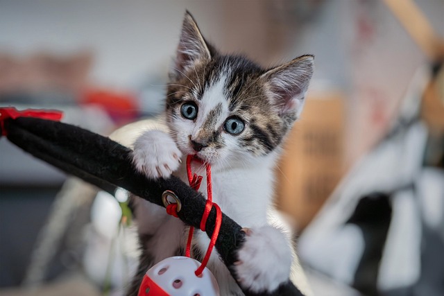 best air purifier for pets