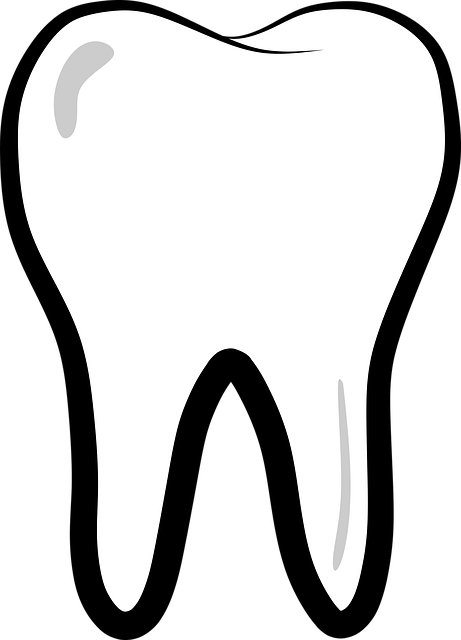 endodontics dentistry
