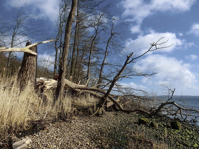 hurricane damage injuries