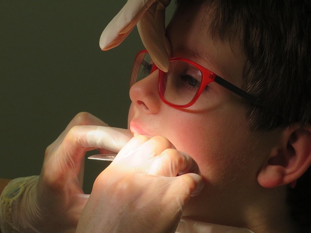 orthodontics dentistry