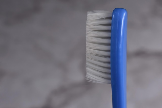 periodontics dentistry