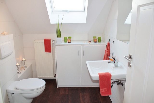 plumbing services