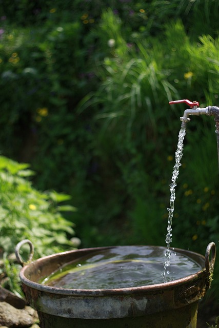 plumbing services