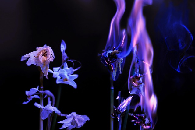 air purifiers