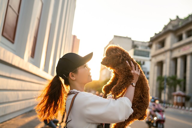 best air purifier for pets