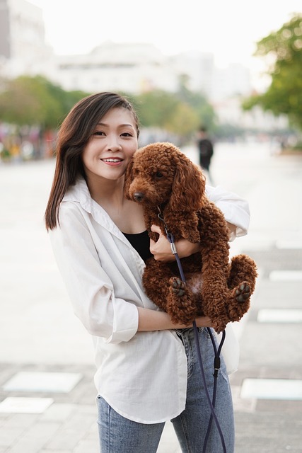 best air purifier for pets