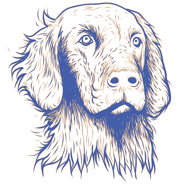 best air purifier for pets