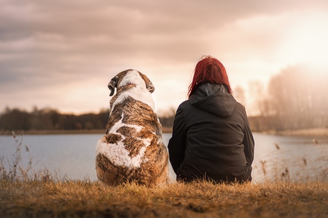 best air purifier for pets