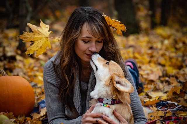 best air purifier for pets