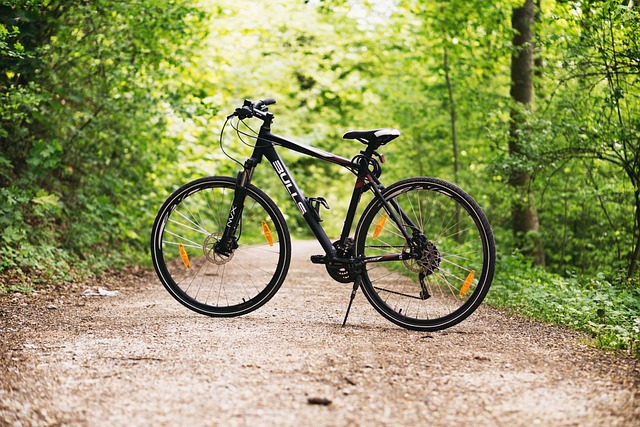 bicycle accident injuries
