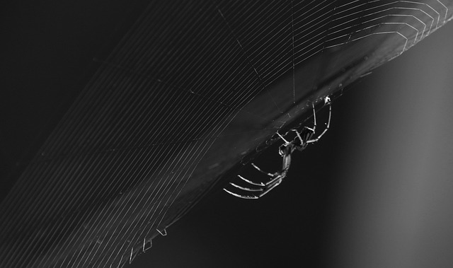 bite correction dentistry