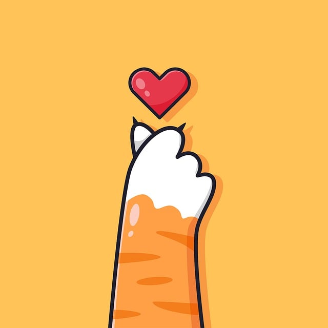 Cute Orange Cats
