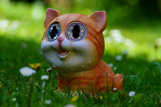 Cute Orange Cats