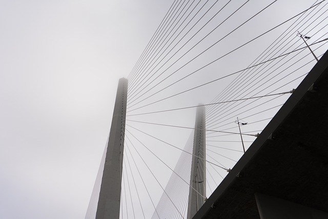 dental bridges