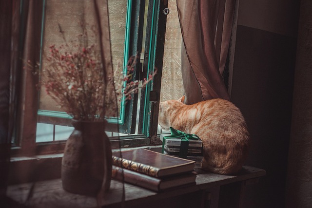 Domesticated Orange Tabbies