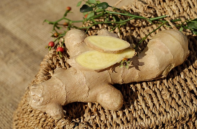 ginger-cats-640x480-83350788.jpeg