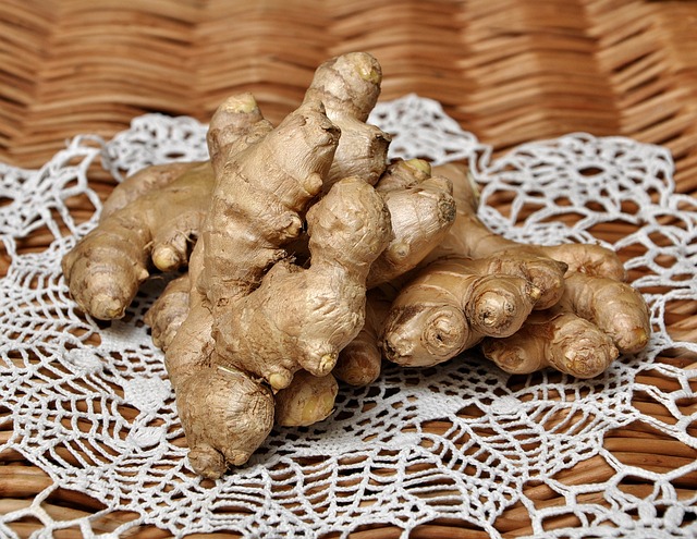 Ginger Cats