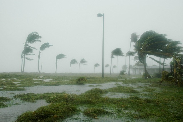 hurricane damage injuries