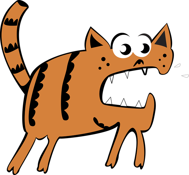 Orange Cats