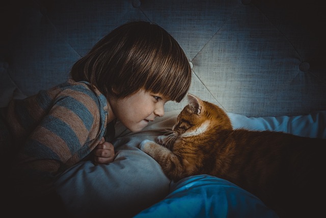 Orange Kittens